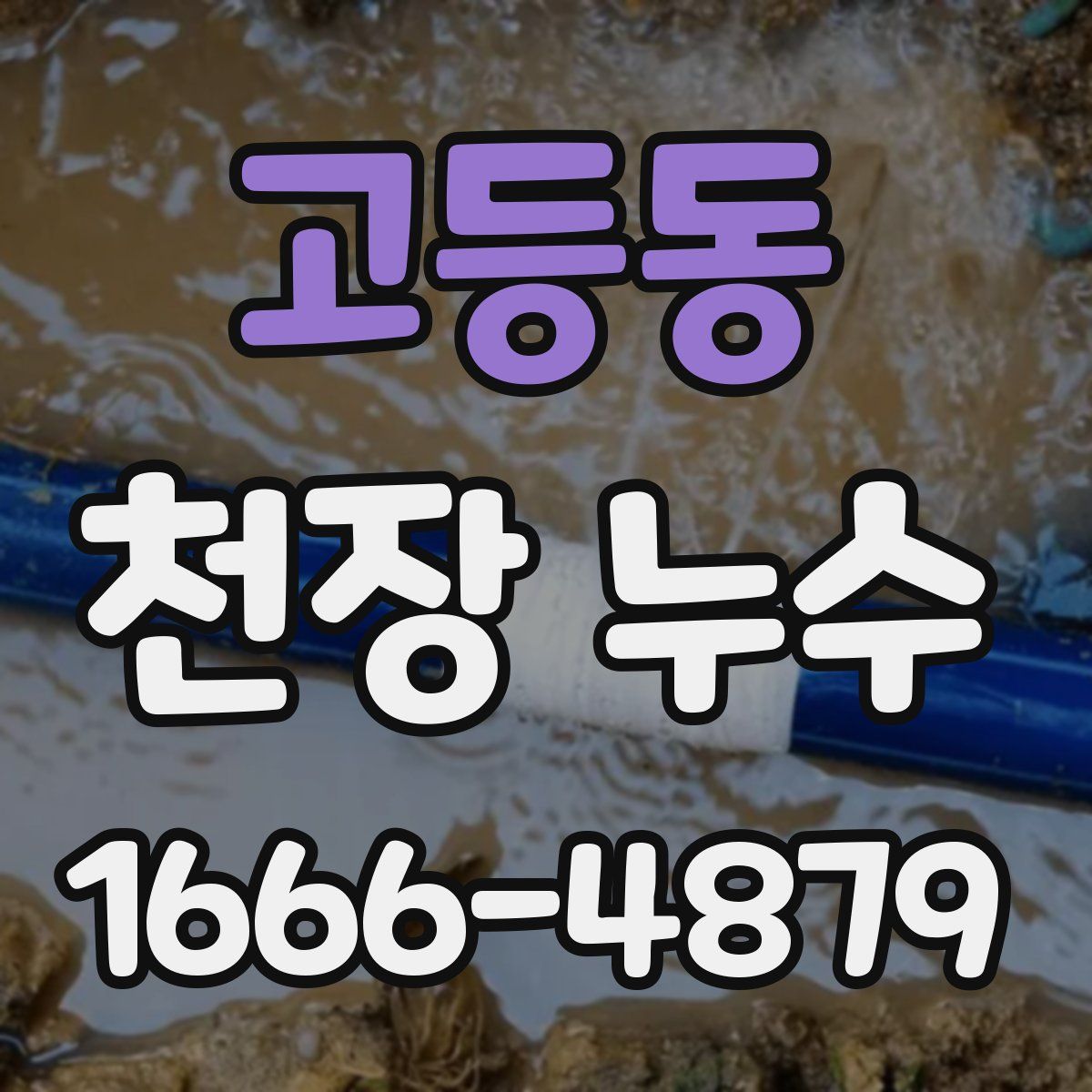 고등동 천장 누수