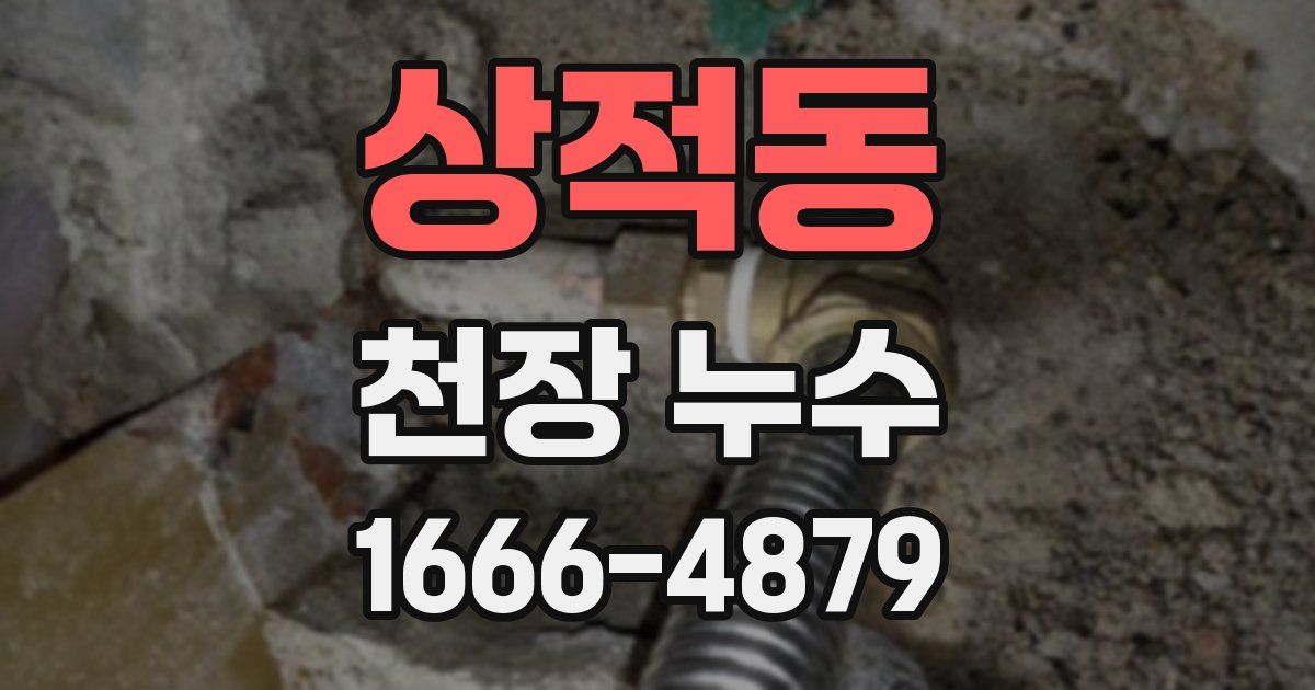 상적동 천장 누수