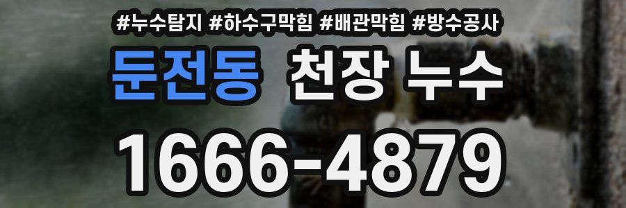 둔전동 천장 누수