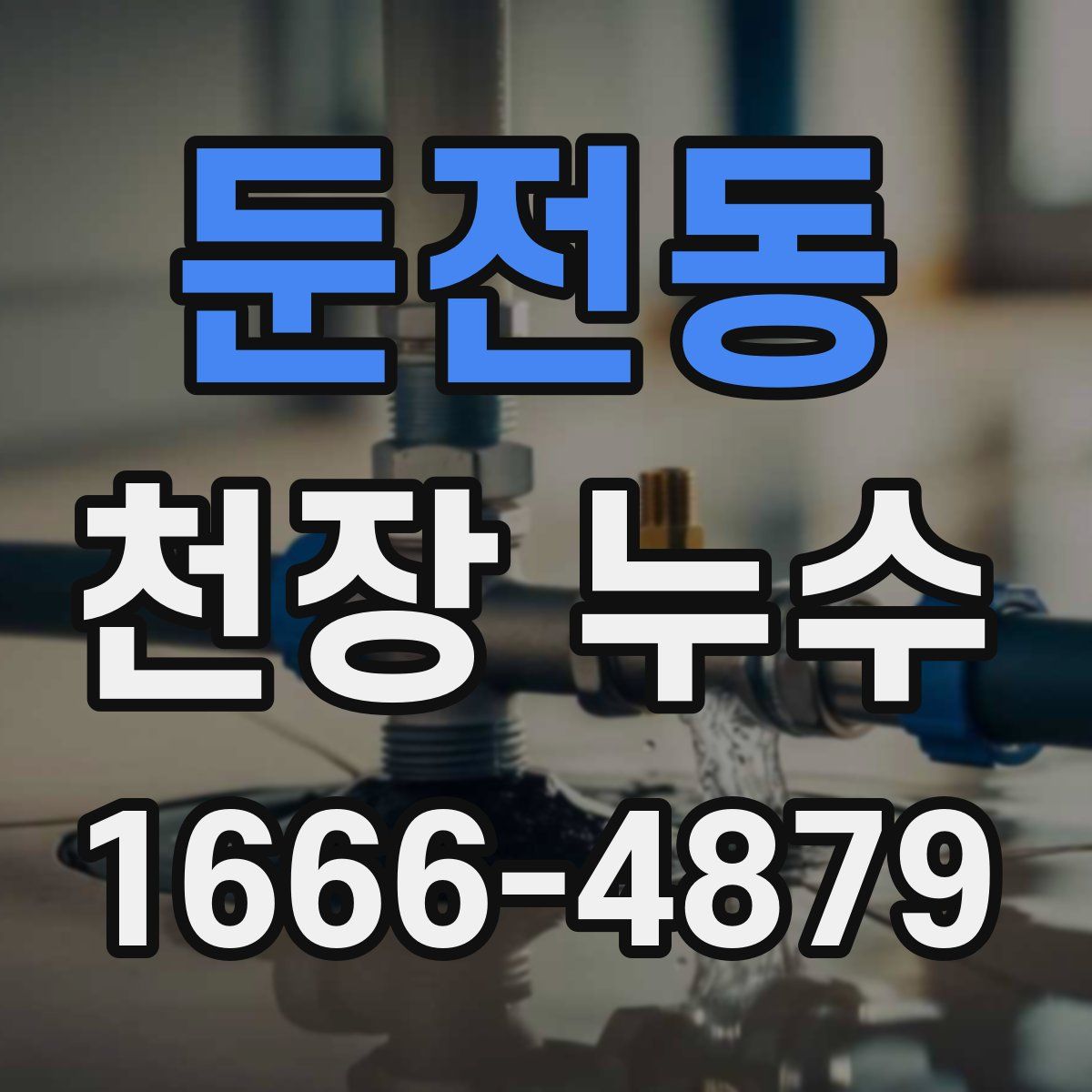 둔전동 천장 누수