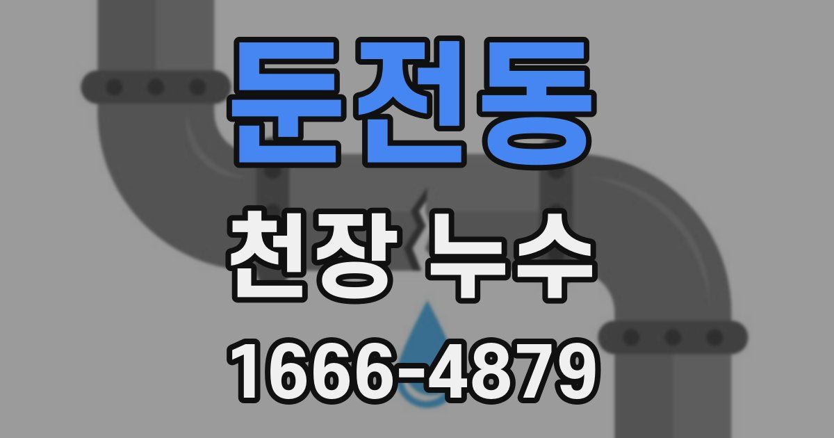 둔전동 천장 누수