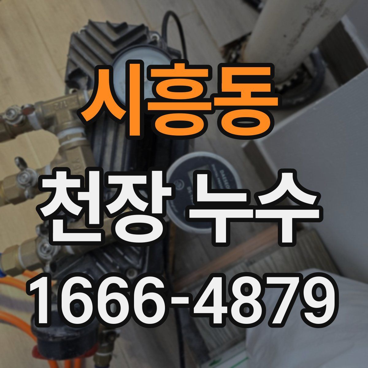 시흥동 천장 누수