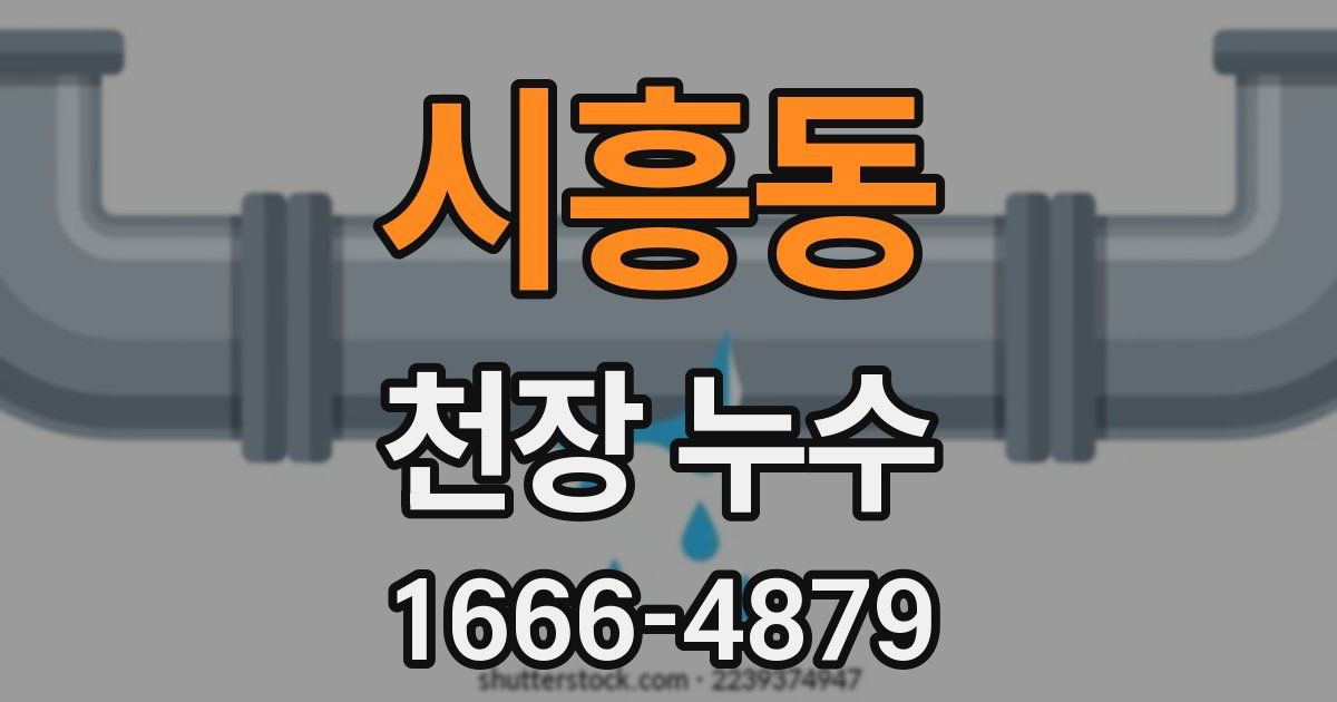 시흥동 천장 누수