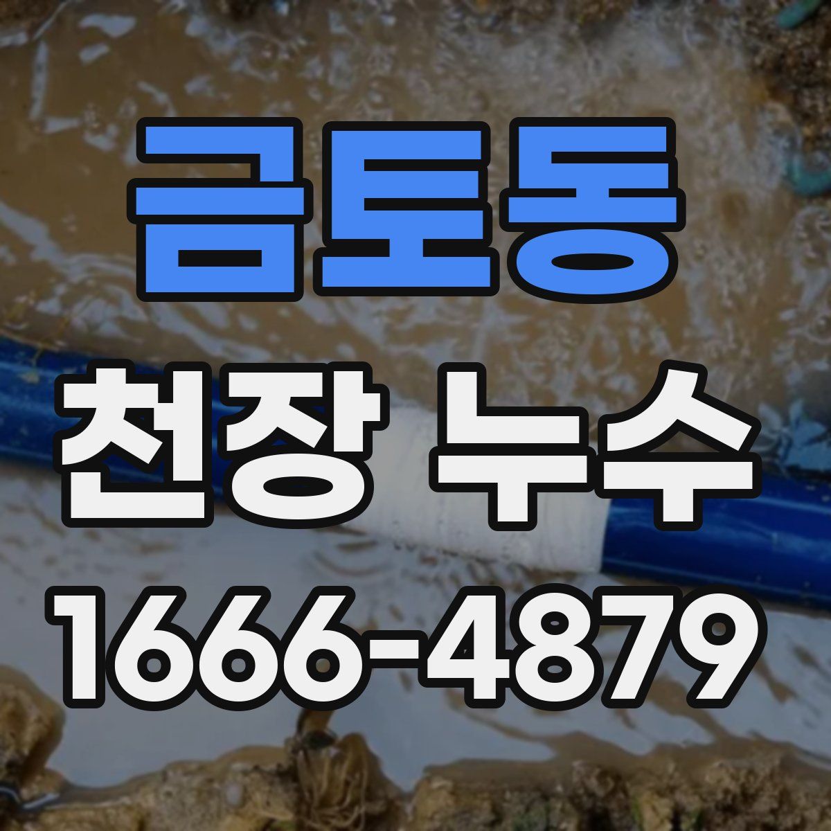 금토동 천장 누수