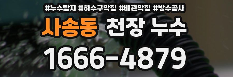 사송동 천장 누수