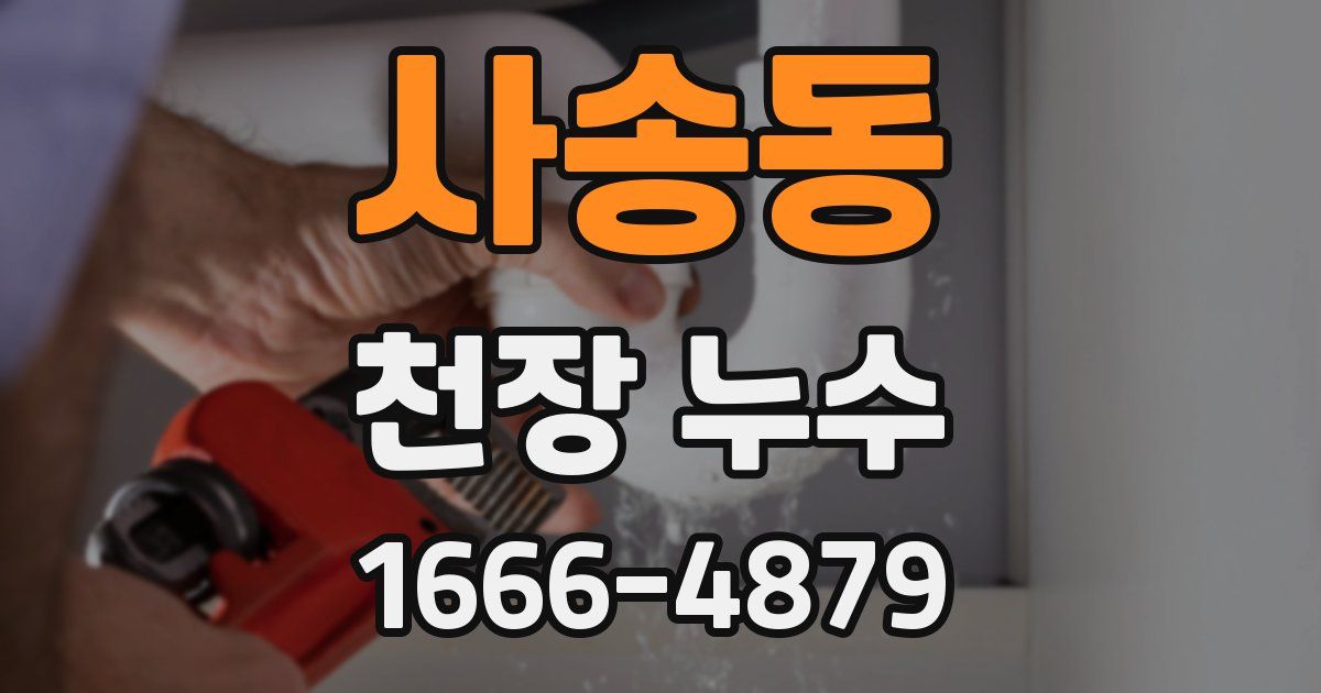 사송동 천장 누수