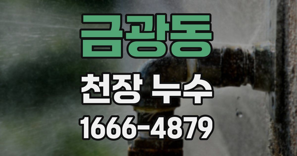 금광동 천장 누수