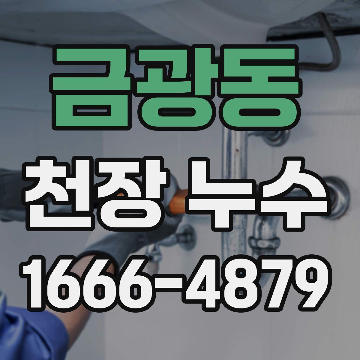 금광동 천장 누수