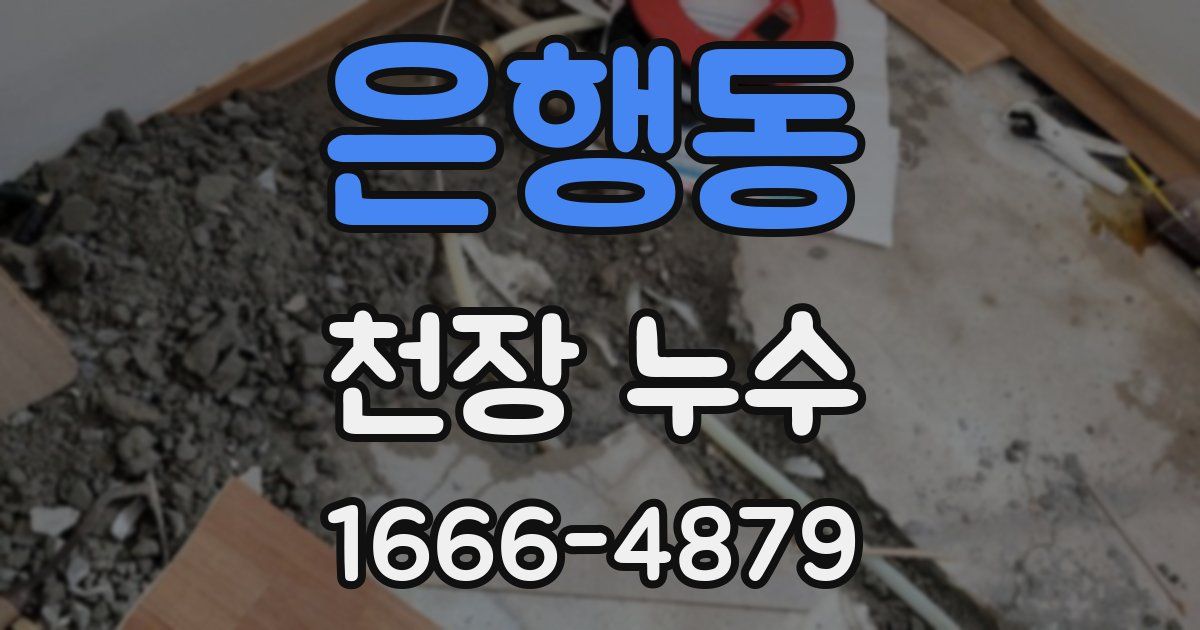 은행동 천장 누수