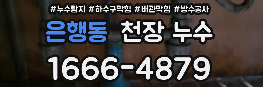 은행동 천장 누수