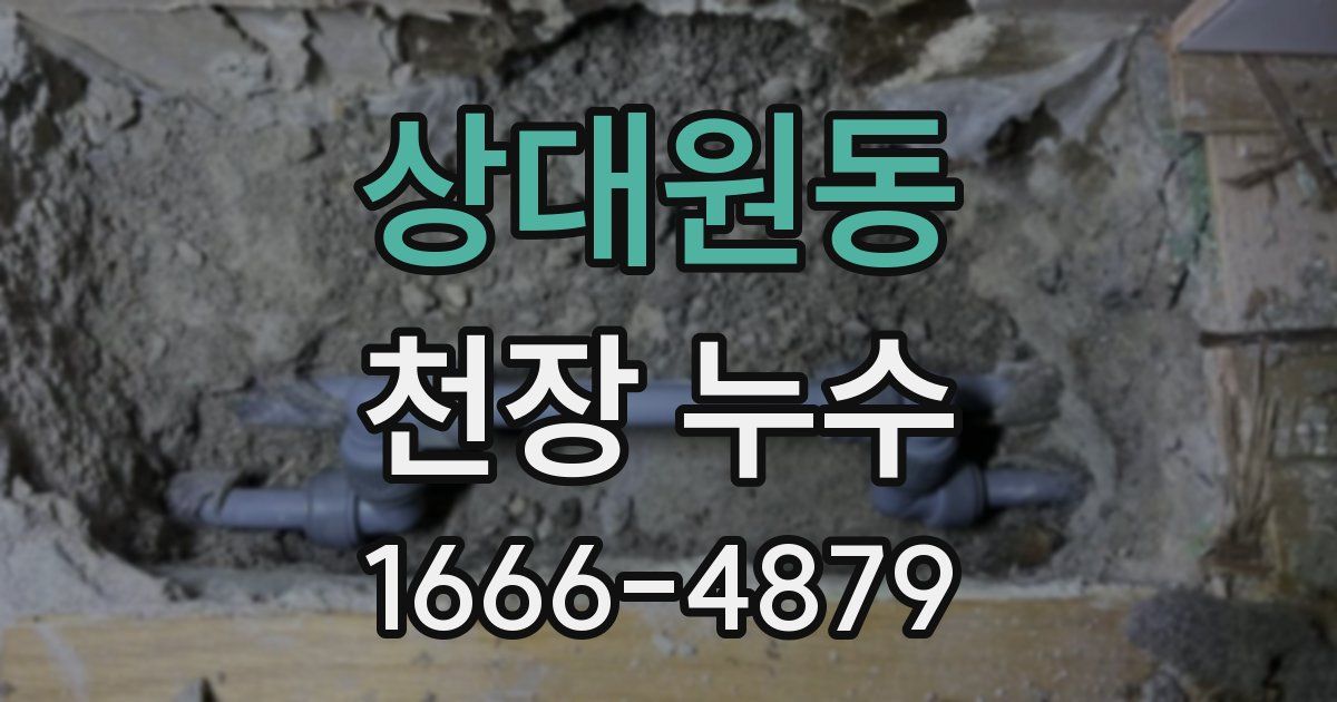 상대원동 천장 누수