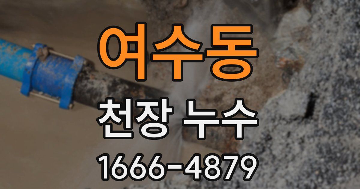 여수동 천장 누수