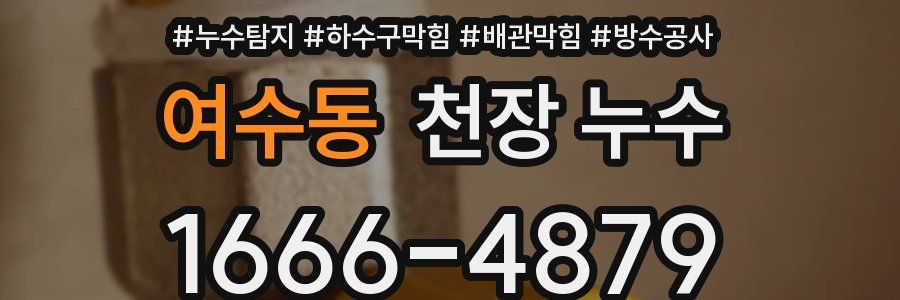 여수동 천장 누수