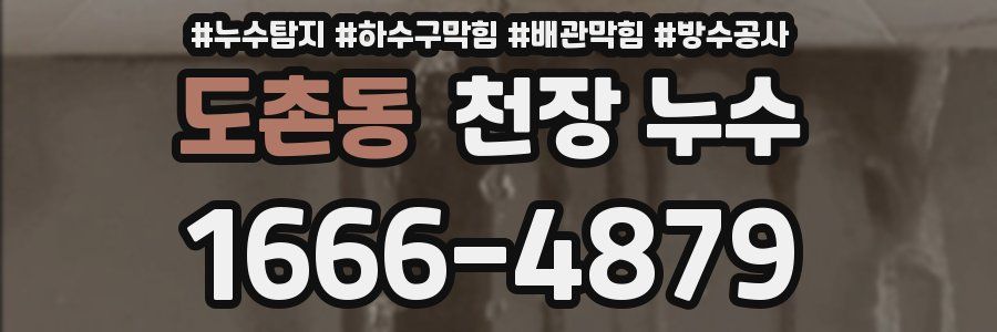 도촌동 천장 누수