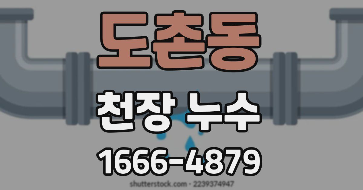 도촌동 천장 누수