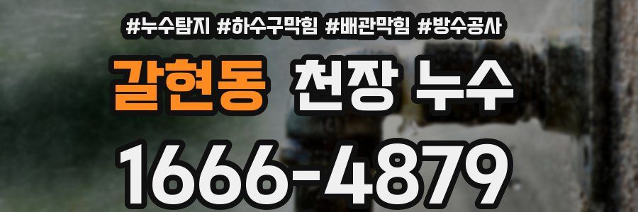 갈현동 천장 누수