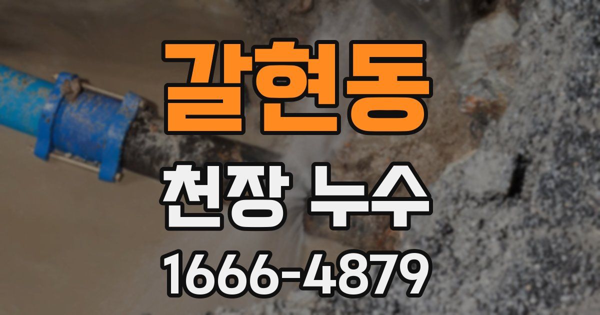 갈현동 천장 누수