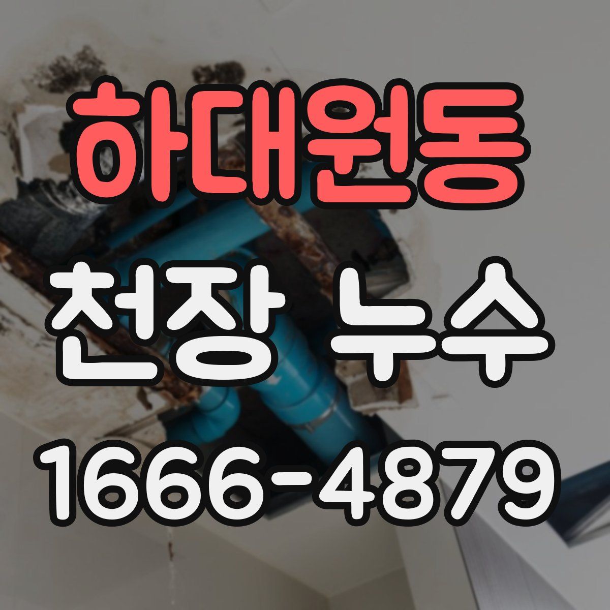 하대원동 천장 누수