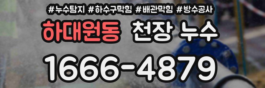 하대원동 천장 누수