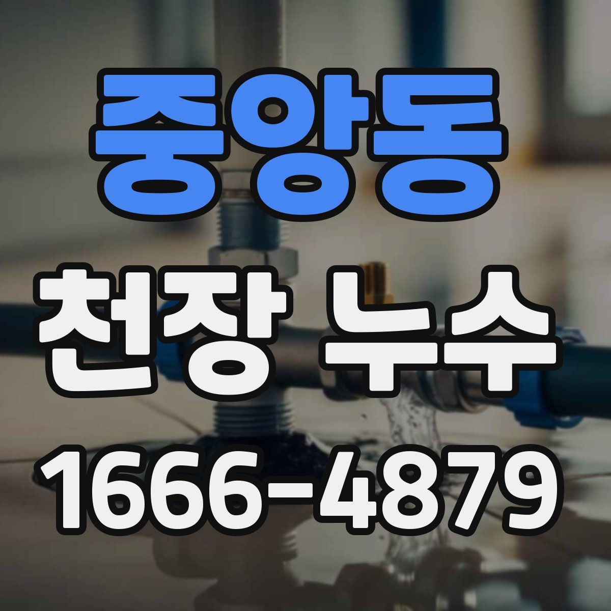 중앙동 천장 누수