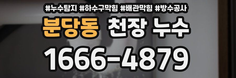 분당동 천장 누수