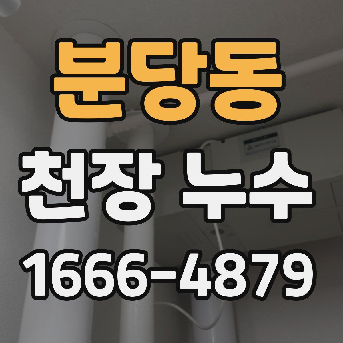 분당동 천장 누수