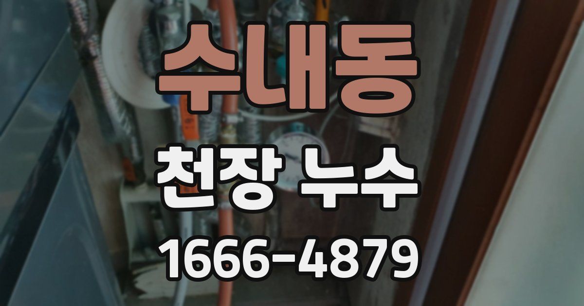 수내동 천장 누수