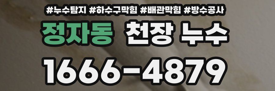 정자동 천장 누수