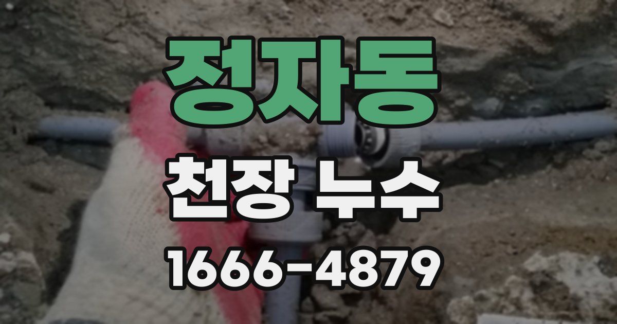 정자동 천장 누수