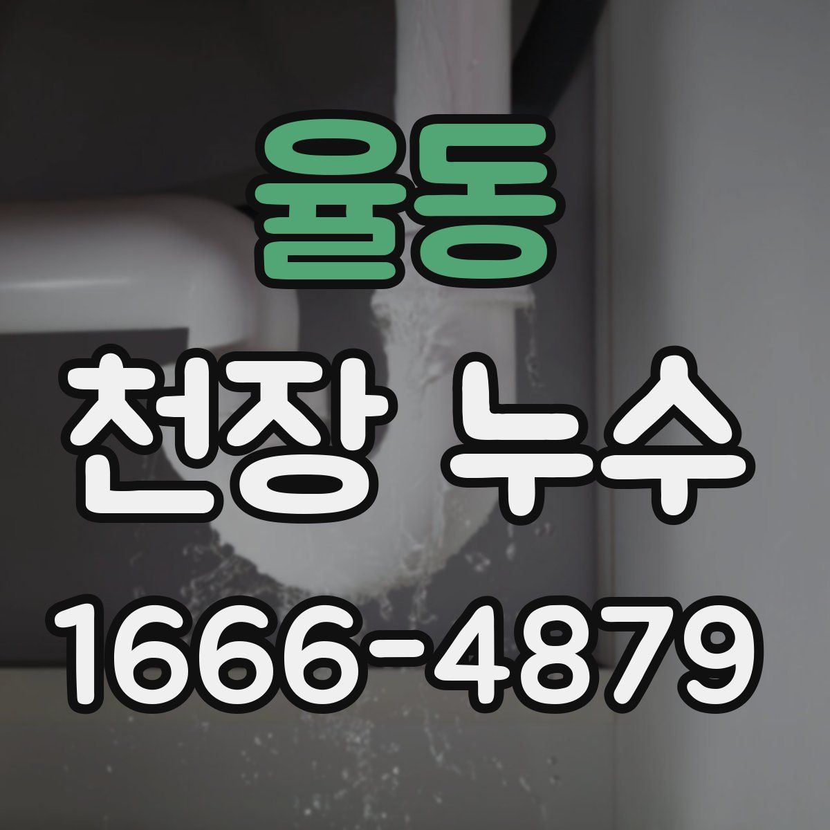 율동 천장 누수