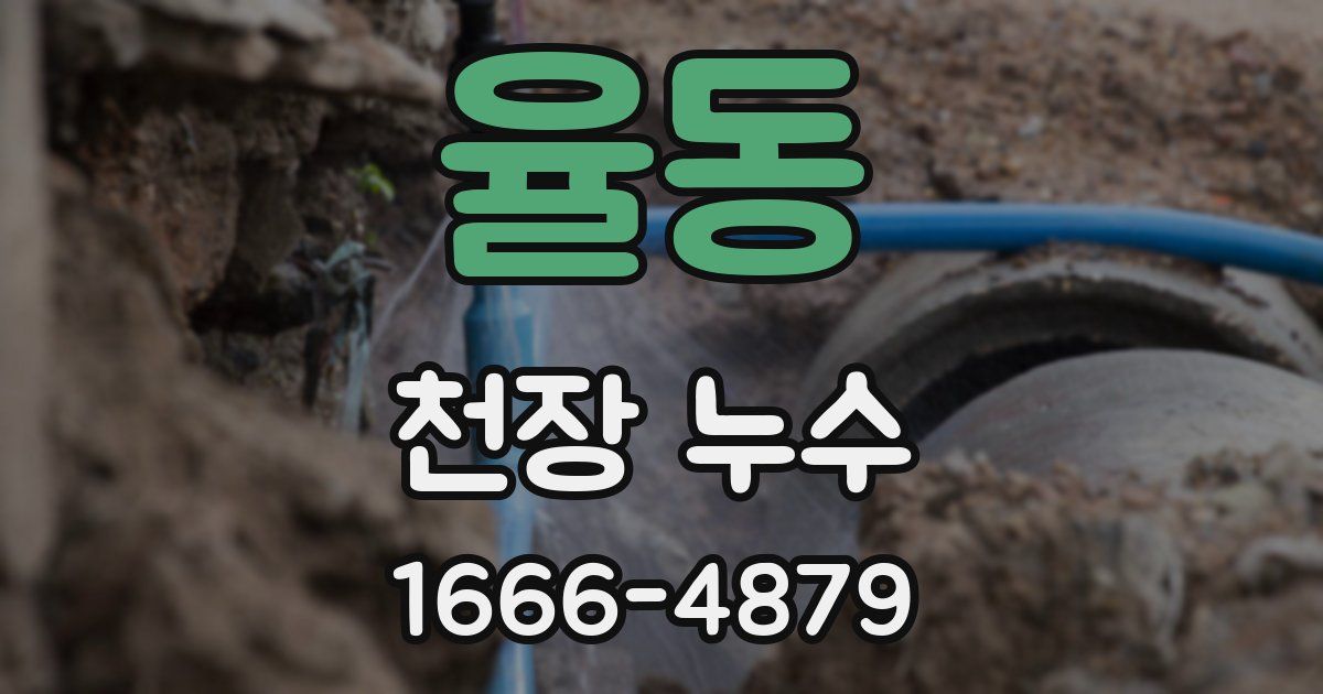 율동 천장 누수