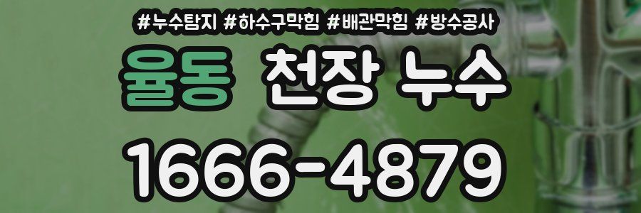 율동 천장 누수