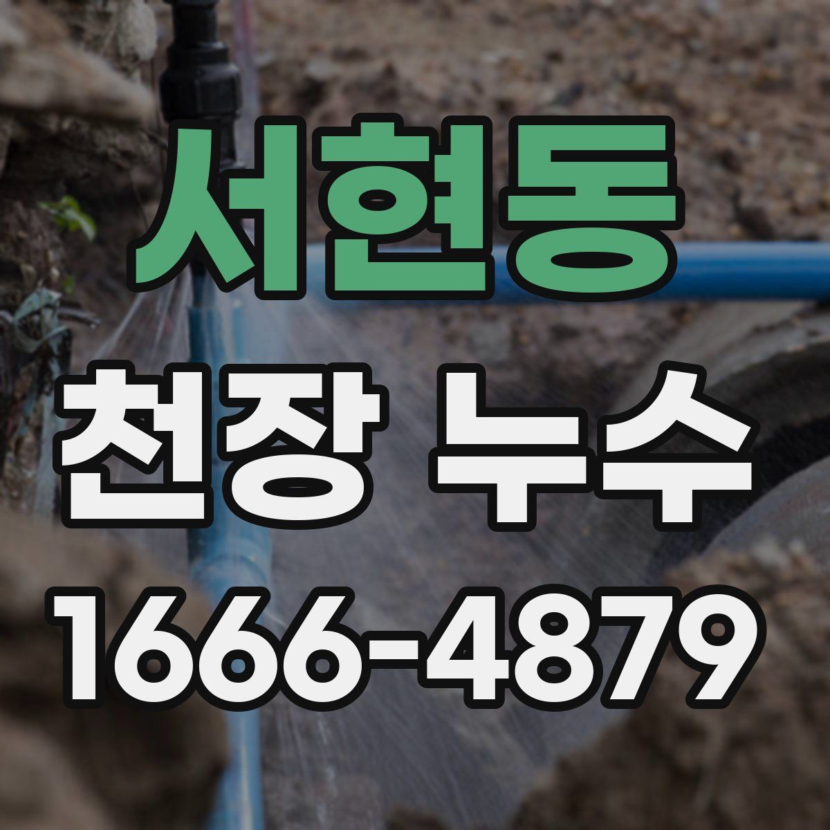 서현동 천장 누수