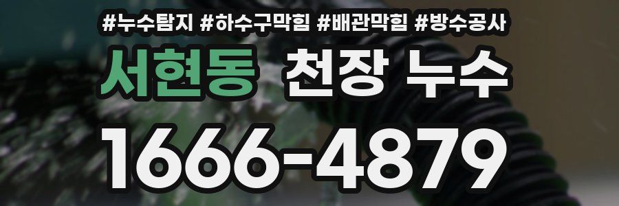 서현동 천장 누수
