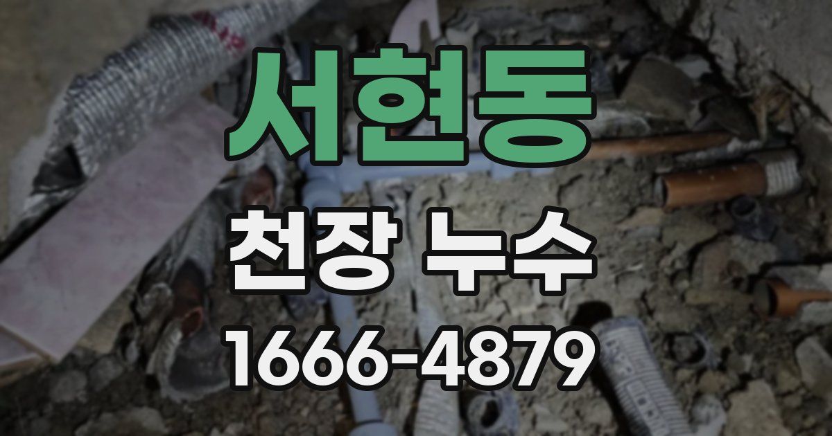 서현동 천장 누수