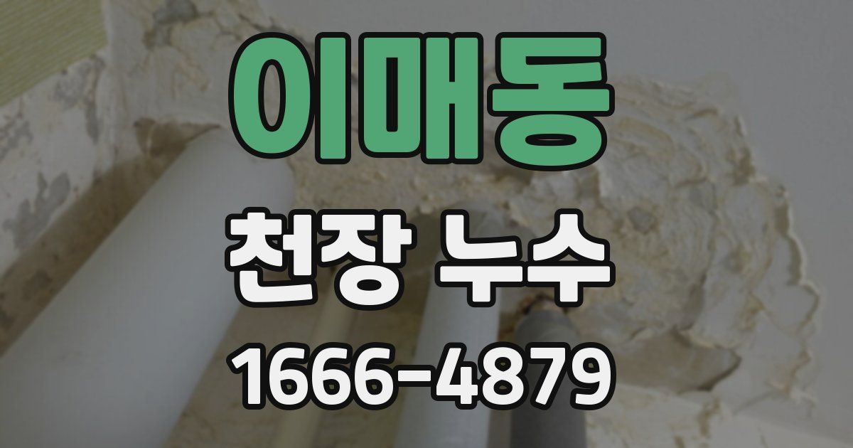 이매동 천장 누수