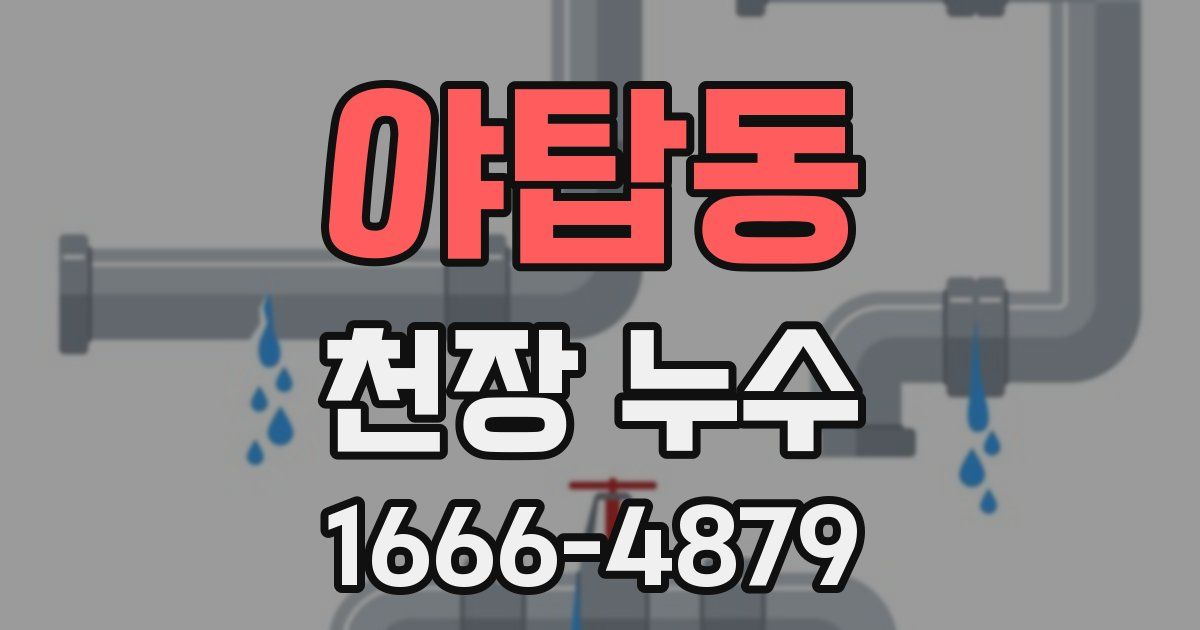 야탑동 천장 누수