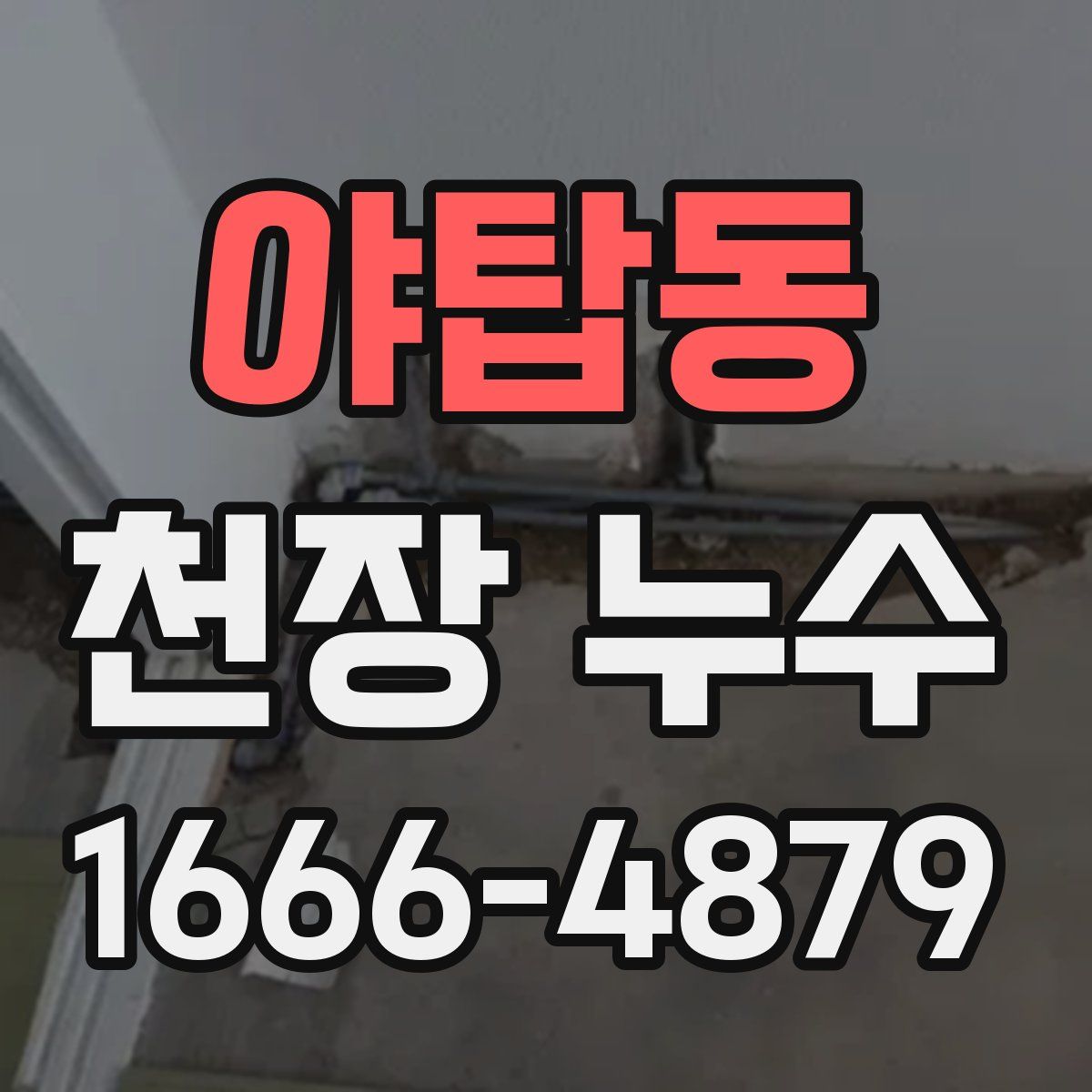 야탑동 천장 누수