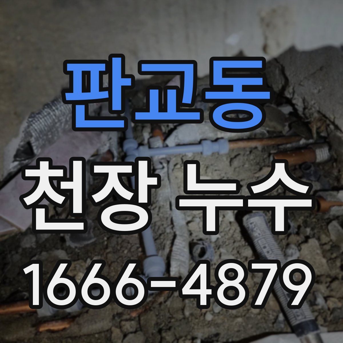 판교동 천장 누수