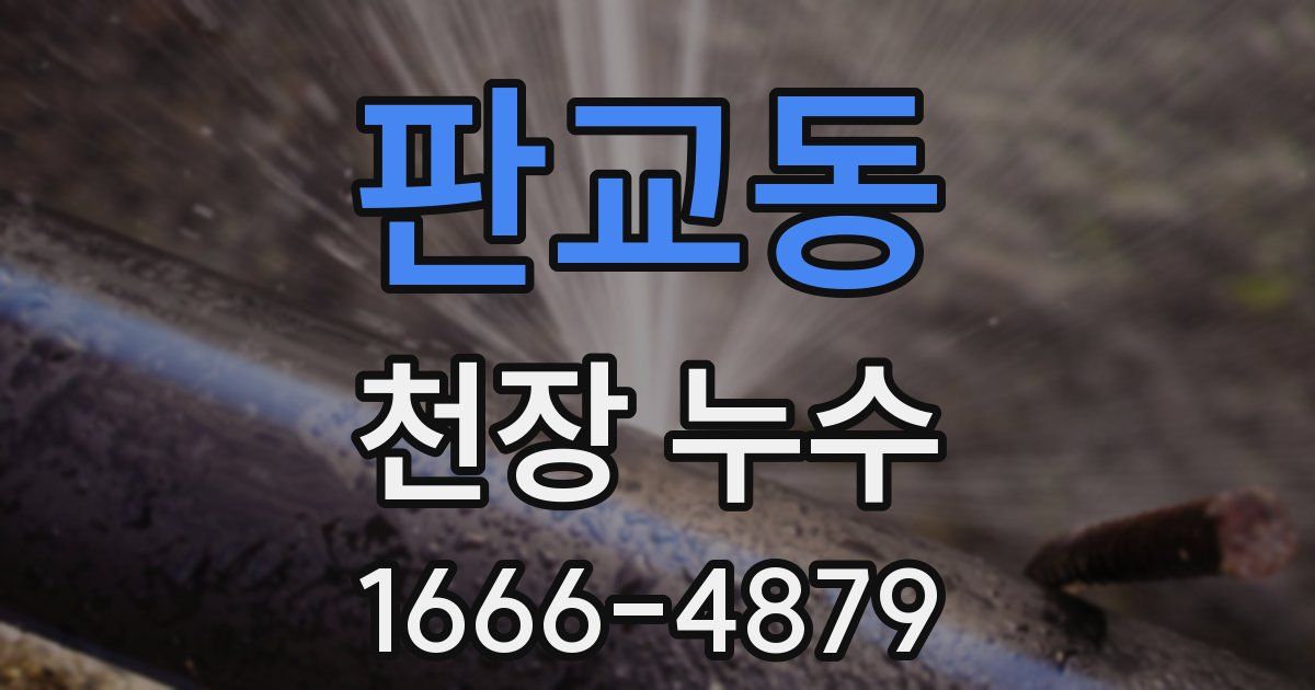 판교동 천장 누수