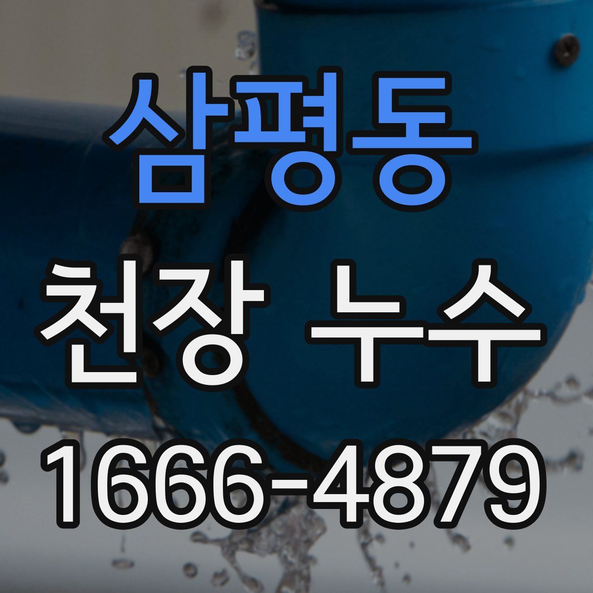 삼평동 천장 누수