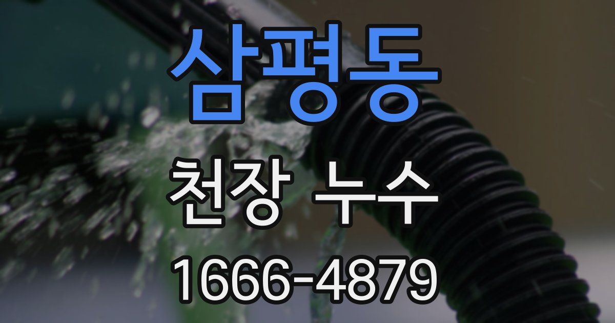 삼평동 천장 누수