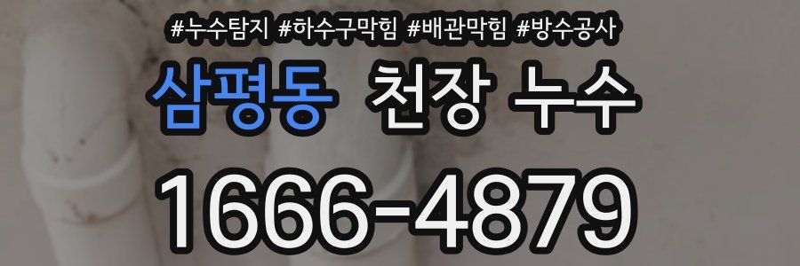 삼평동 천장 누수