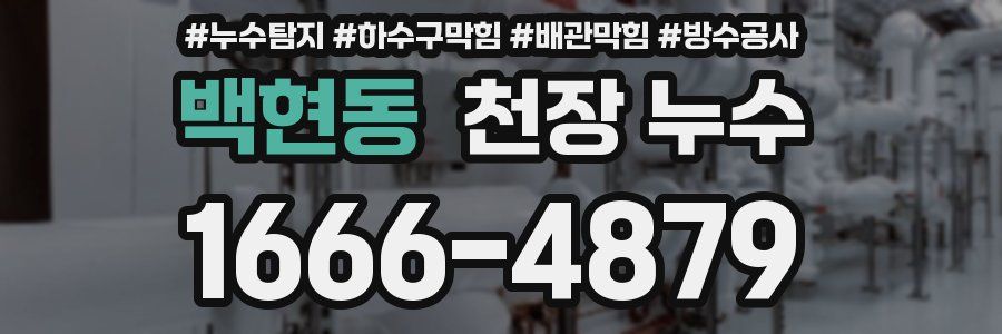 백현동 천장 누수