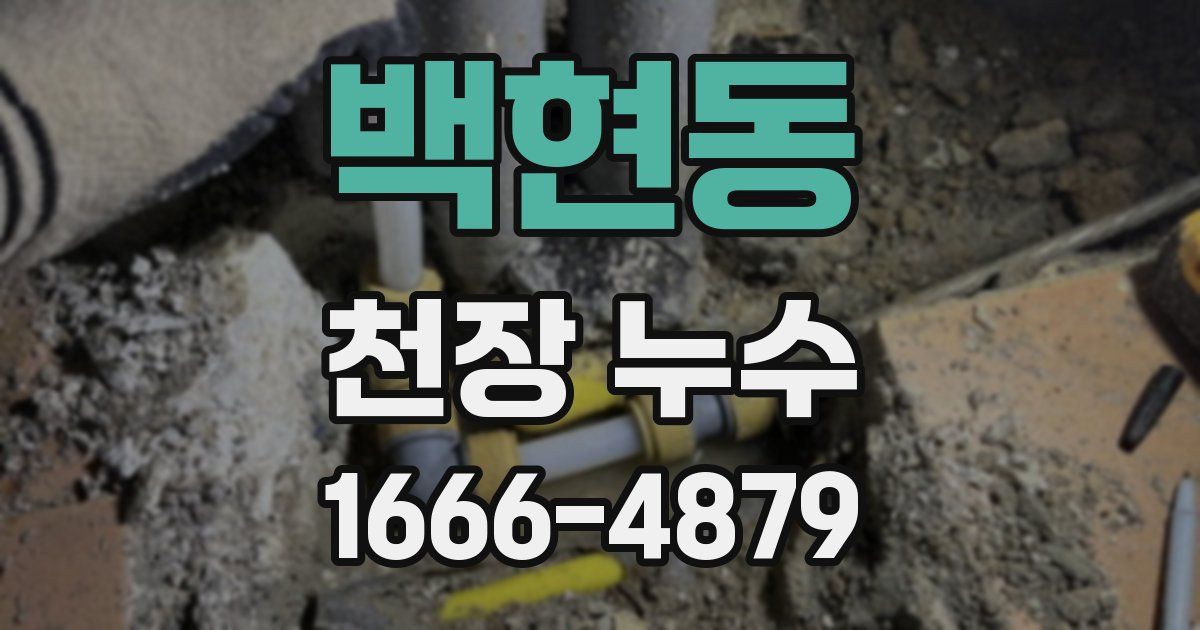 백현동 천장 누수