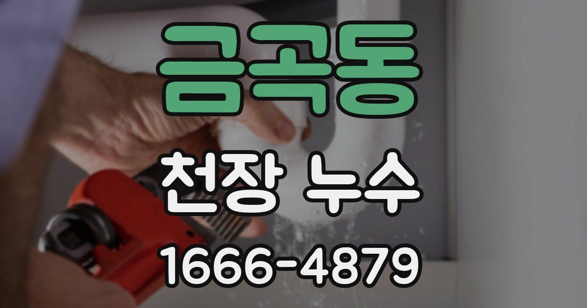 금곡동 천장 누수