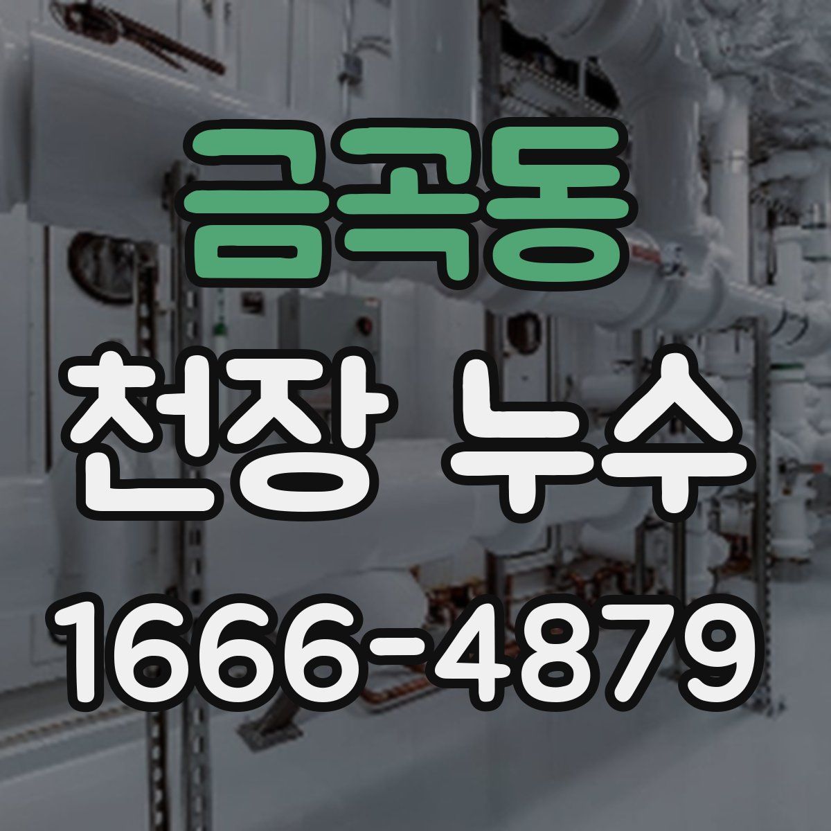금곡동 천장 누수