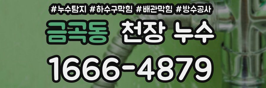 금곡동 천장 누수