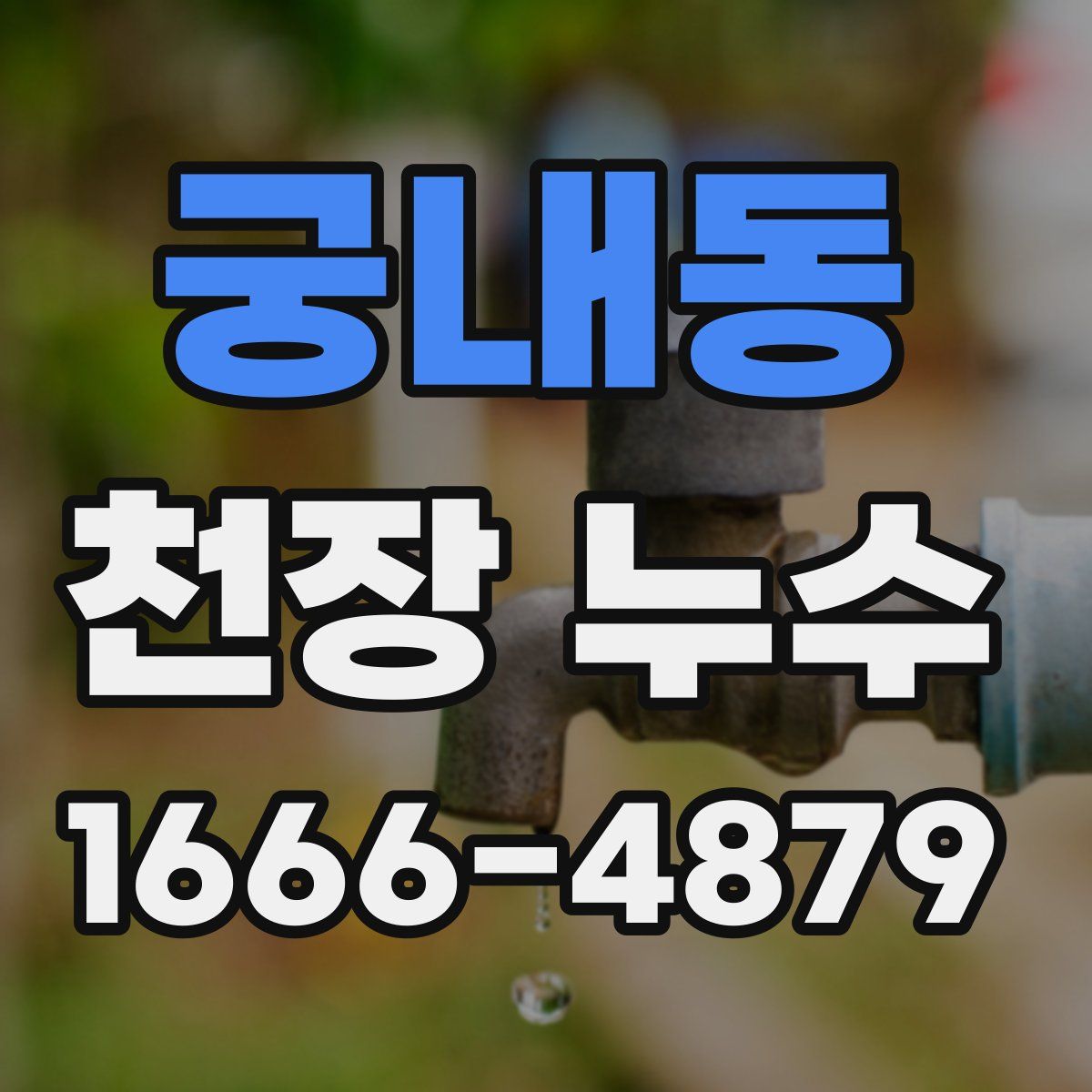 궁내동 천장 누수