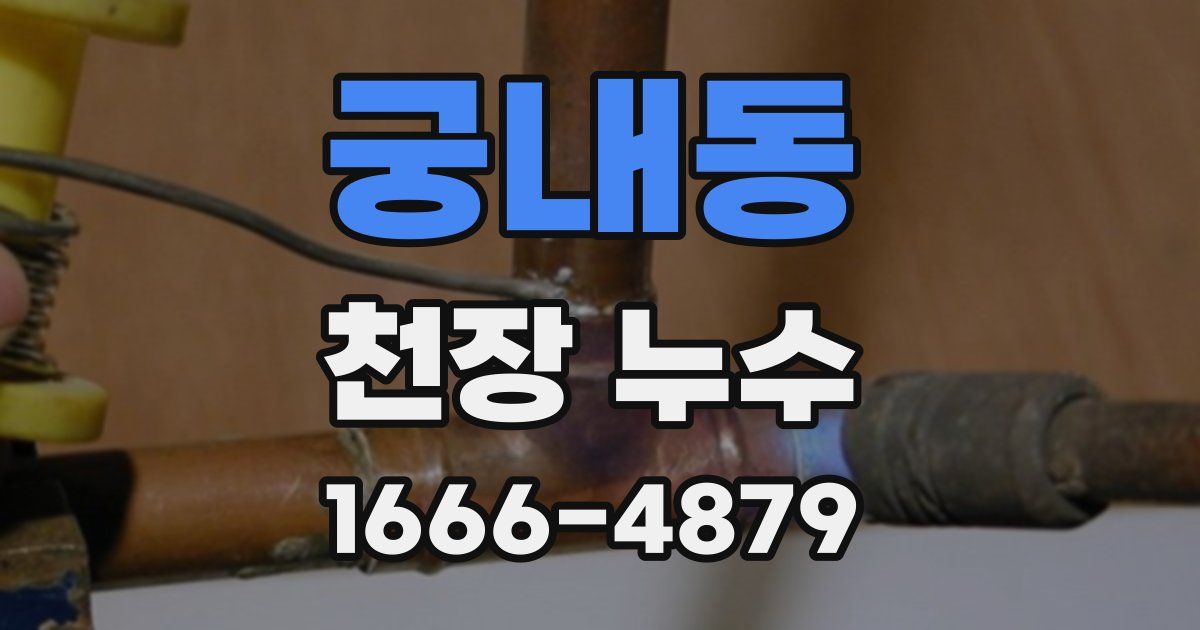 궁내동 천장 누수
